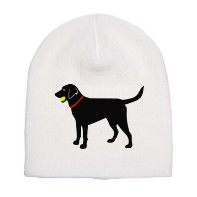 Labrador Retriever Fetch Black Lab Play Ball Short Acrylic Beanie