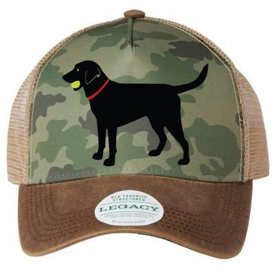 Labrador Retriever Fetch Black Lab Play Ball Legacy Tie Dye Trucker Hat