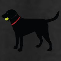 Labrador Retriever Fetch Black Lab Play Ball Garment-Dyed Fleece Hoodie