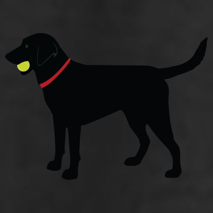 Labrador Retriever Fetch Black Lab Play Ball Garment-Dyed Fleece Hoodie
