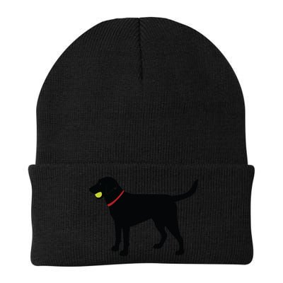 Labrador Retriever Fetch Black Lab Play Ball Beanie