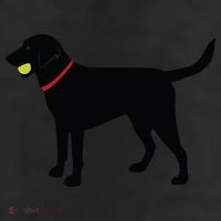 Labrador Retriever Fetch Black Lab Play Ball Beanie