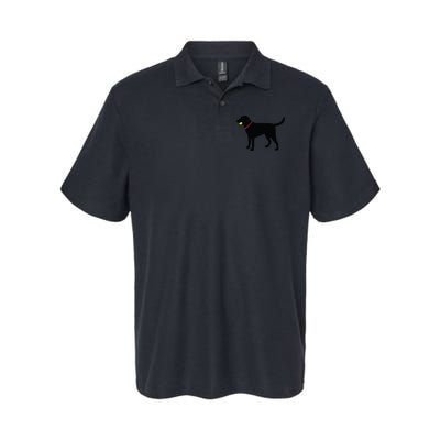 Labrador Retriever Fetch Black Lab Play Ball Polo