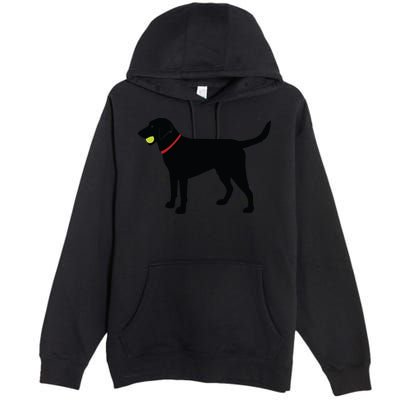 Labrador Retriever Fetch Black Lab Play Ball Premium Pullover Hoodie