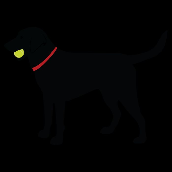 Labrador Retriever Fetch Black Lab Play Ball Mousepad
