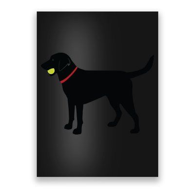 Labrador Retriever Fetch Black Lab Play Ball Poster