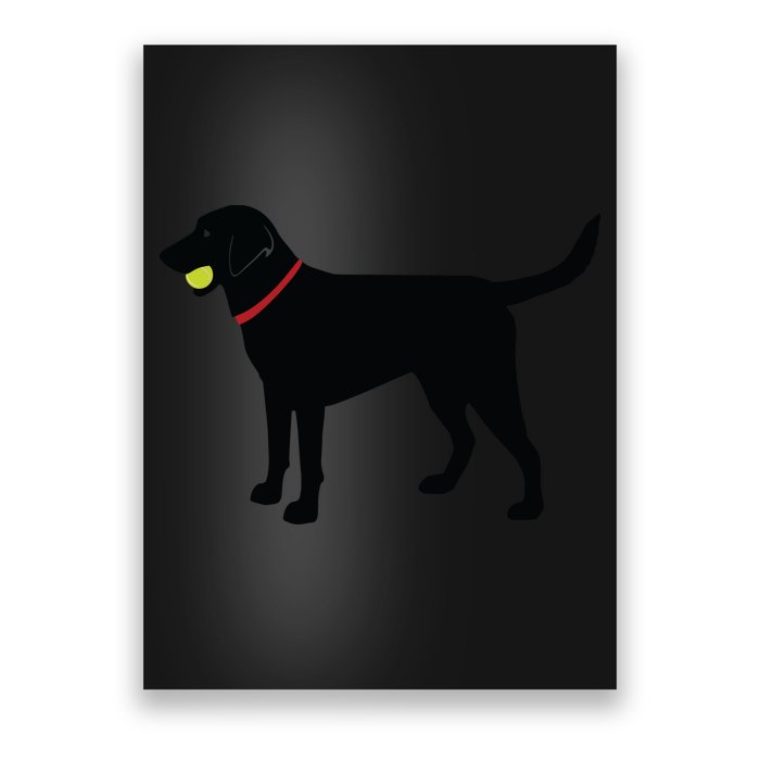 Labrador Retriever Fetch Black Lab Play Ball Poster