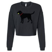 Labrador Retriever Fetch Black Lab Play Ball Cropped Pullover Crew