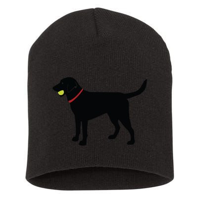 Labrador Retriever Fetch Black Lab Play Ball Short Acrylic Beanie