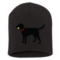 Labrador Retriever Fetch Black Lab Play Ball Short Acrylic Beanie