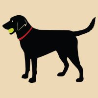 Labrador Retriever Fetch Black Lab Play Ball Drawstring Bag