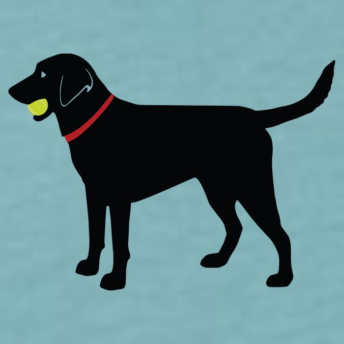 Labrador Retriever Fetch Black Lab Play Ball Sueded Cloud Jersey T-Shirt