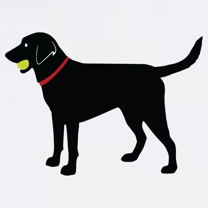 Labrador Retriever Fetch Black Lab Play Ball Garment-Dyed Sweatshirt