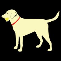 Labrador Retriever Fetch Yellow Lab Play Ball Mousepad