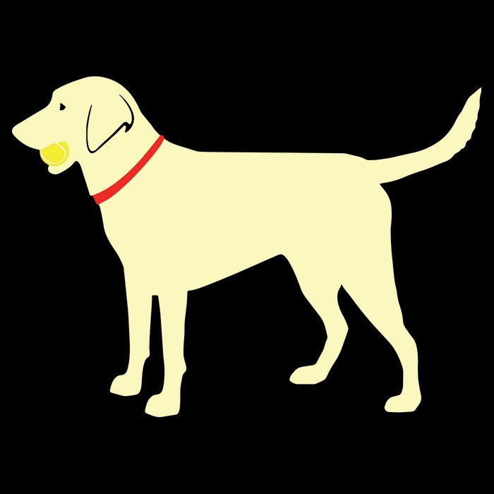 Labrador Retriever Fetch Yellow Lab Play Ball Mousepad