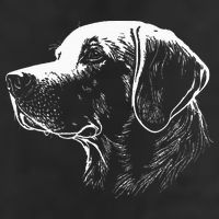 Labrador Retriever Gifts Lab Dog Adult Drive Performance Visor