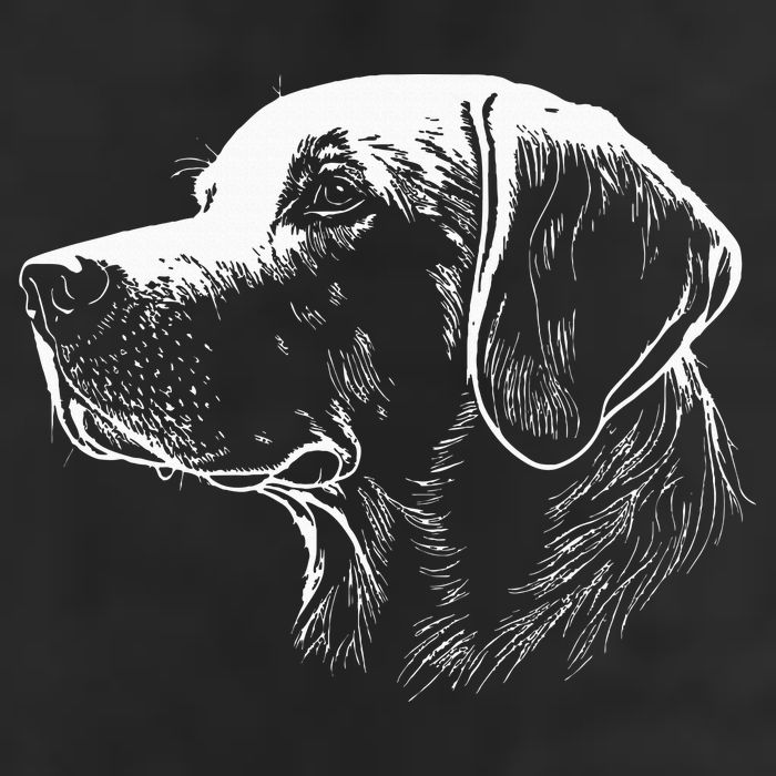 Labrador Retriever Gifts Lab Dog Adult Drive Performance Visor