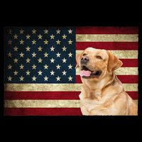 Labrador retriever gifts American Flag Lab dog Cooling Performance Crew T-Shirt