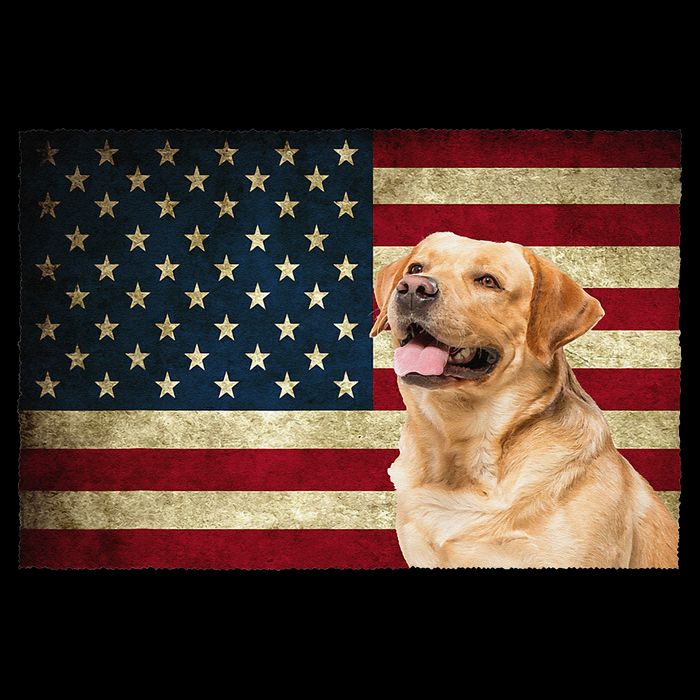 Labrador retriever gifts American Flag Lab dog Cooling Performance Crew T-Shirt