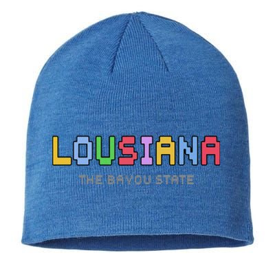 Louisiana Retro Gaming Pixelated Design Classic Sustainable Beanie