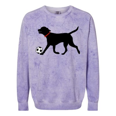 Labrador Retriever Great Gift Play Soccer Black Lab Soccer Colorblast Crewneck Sweatshirt