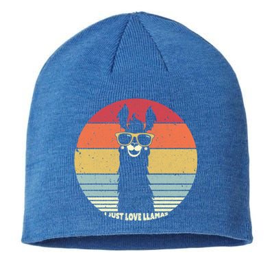 Llama Retro I Just Love Llamas Gift Sustainable Beanie