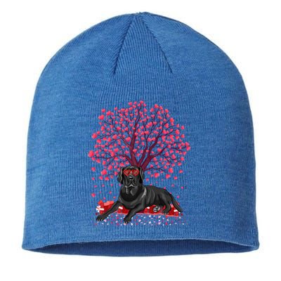 Labrador Retriever Lover Labrador Retriever Valentine's Day Gift Sustainable Beanie