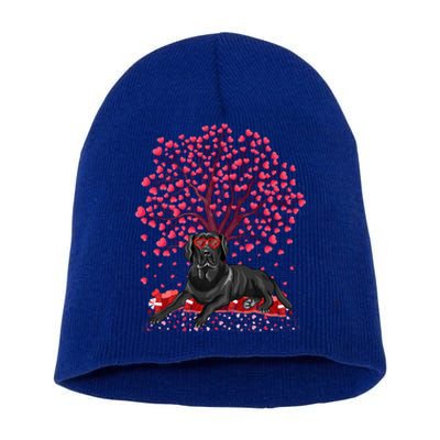 Labrador Retriever Lover Labrador Retriever Valentine's Day Gift Short Acrylic Beanie