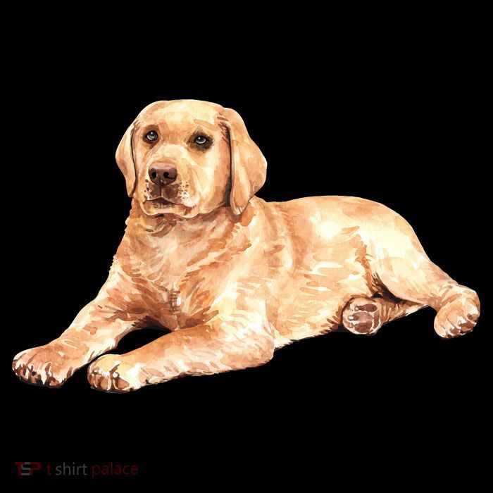 Labrador Retriever 16 in Basic Backpack