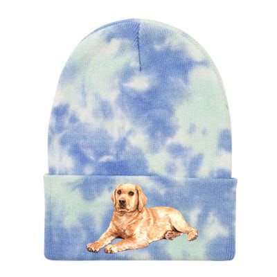 Labrador Retriever Tie Dye 12in Knit Beanie