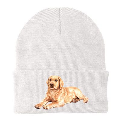 Labrador Retriever Beanie
