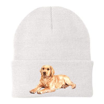 Labrador Retriever Knit Cap Winter Beanie