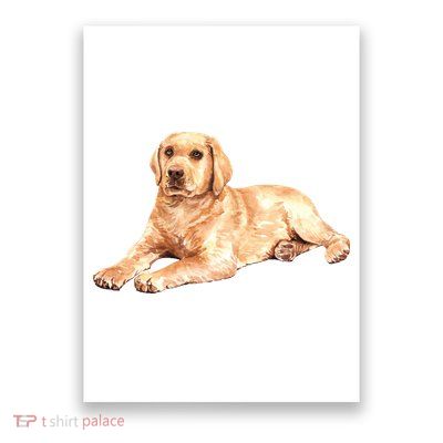 Labrador Retriever Poster