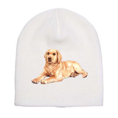 Labrador Retriever Short Acrylic Beanie