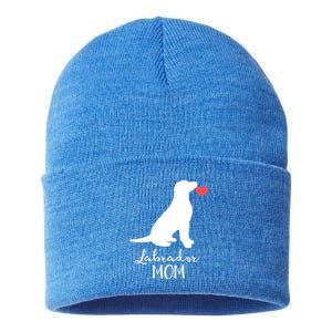 Labrador Retriever Mom Dog Silhouette Gift Sustainable Knit Beanie