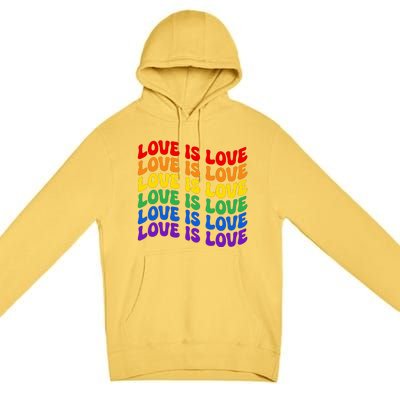 LGBT Retro Pride T Design Premium Pullover Hoodie