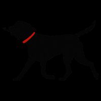 Labrador Retriever Play Fetch Black Lab 16oz Travel Tumbler