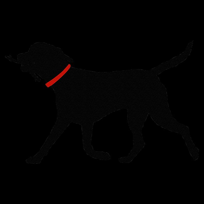 Labrador Retriever Play Fetch Black Lab 16oz Travel Tumbler