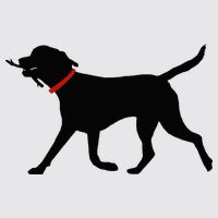 Labrador Retriever Play Fetch Black Lab Womens Funnel Neck Pullover Hood