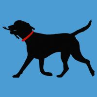 Labrador Retriever Play Fetch Black Lab Tie Dye Hoodie