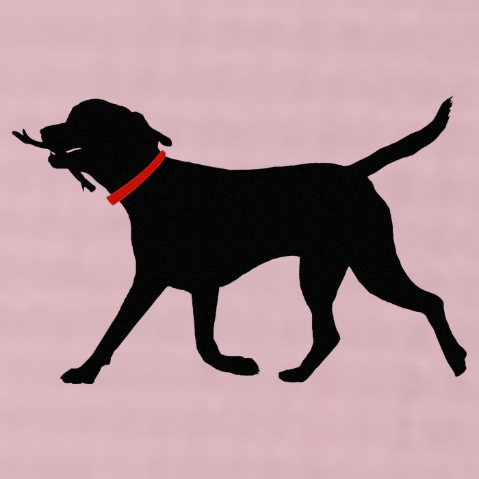 Labrador Retriever Play Fetch Black Lab 25L Jumbo Tote