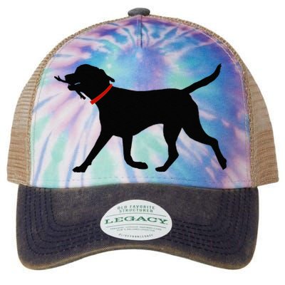 Labrador Retriever Play Fetch Black Lab Legacy Tie Dye Trucker Hat