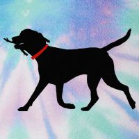 Labrador Retriever Play Fetch Black Lab Legacy Tie Dye Trucker Hat