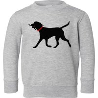 Labrador Retriever Play Fetch Black Lab Toddler Sweatshirt
