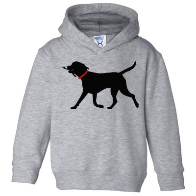 Labrador Retriever Play Fetch Black Lab Toddler Hoodie