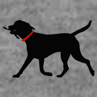 Labrador Retriever Play Fetch Black Lab Tall Hoodie