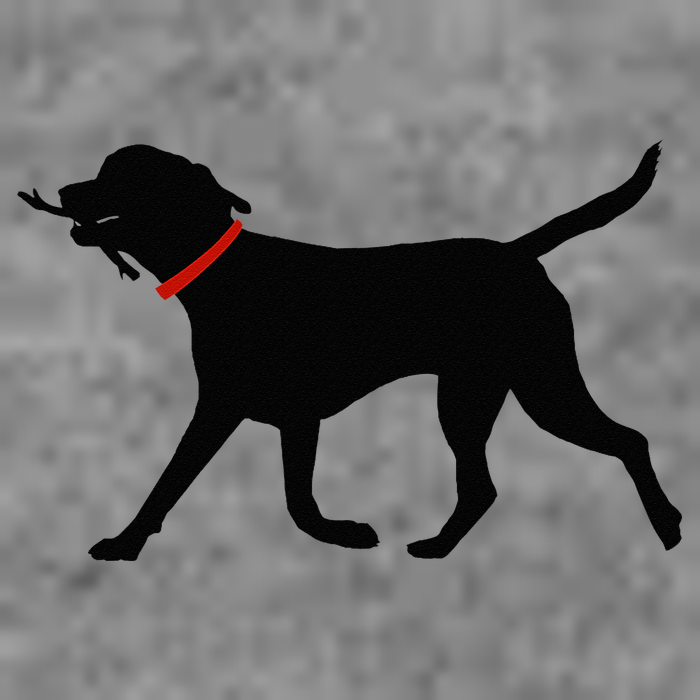 Labrador Retriever Play Fetch Black Lab Tall Hoodie