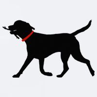 Labrador Retriever Play Fetch Black Lab Sueded Cloud Jersey T-Shirt