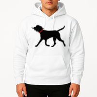 Labrador Retriever Play Fetch Black Lab Hoodie