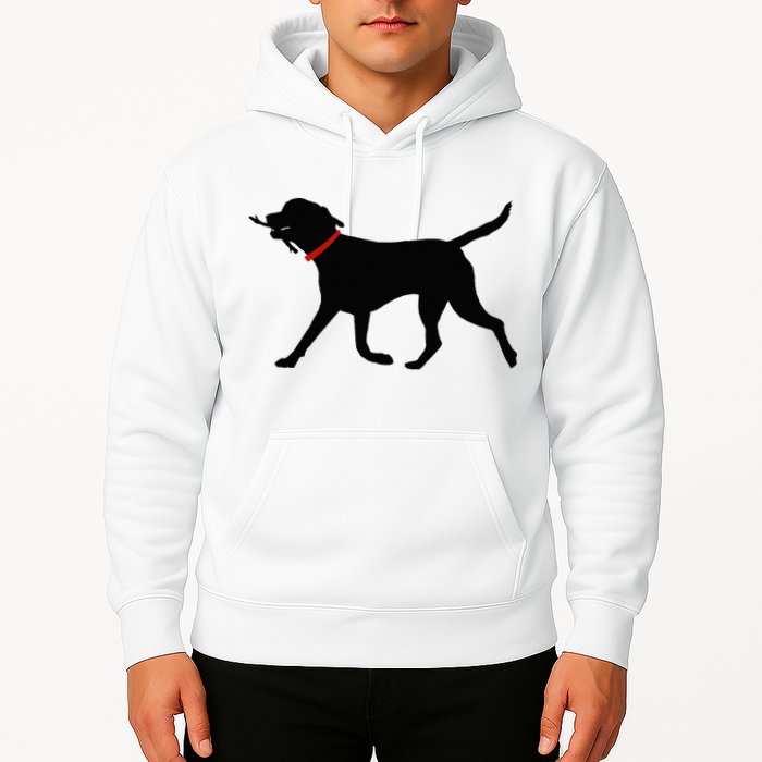 Labrador Retriever Play Fetch Black Lab Hoodie